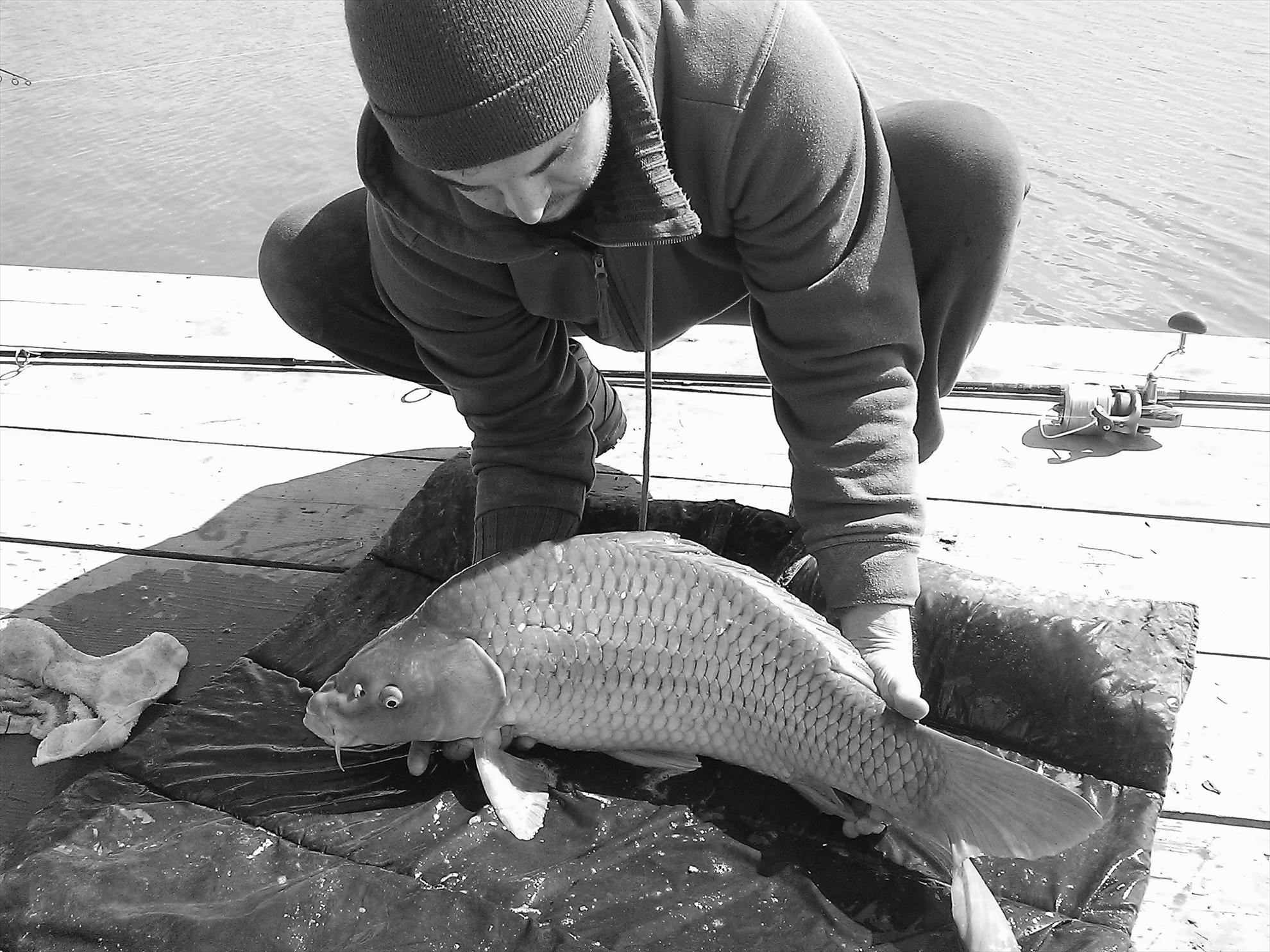 Fa-i poza daca poti...